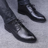 2095 Black