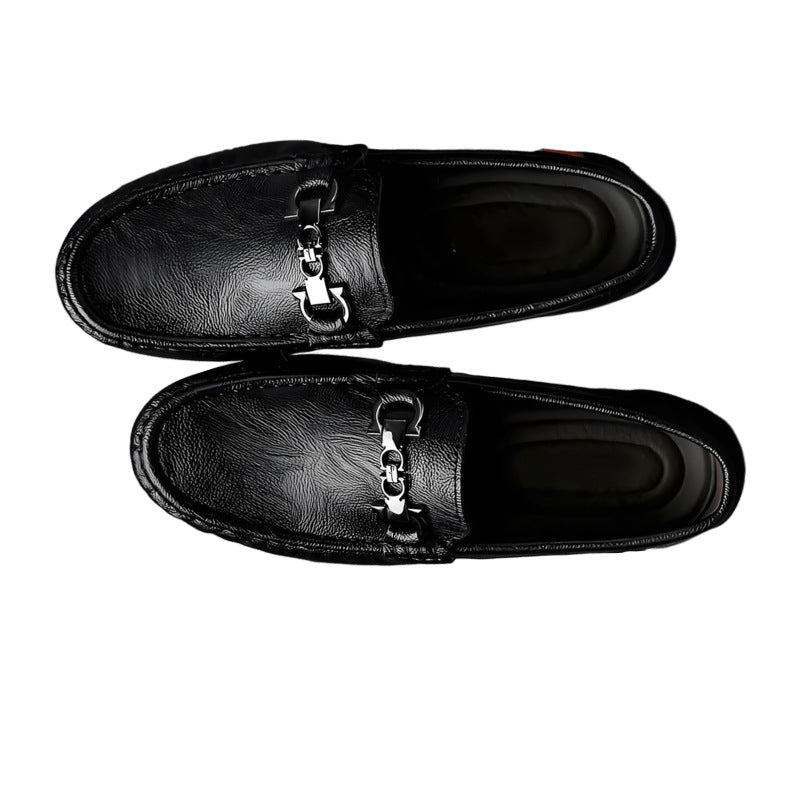TnVCollectionPk