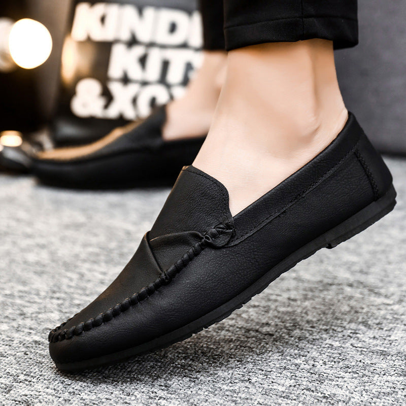 TNV Phenix Loafers 402 (Brown)